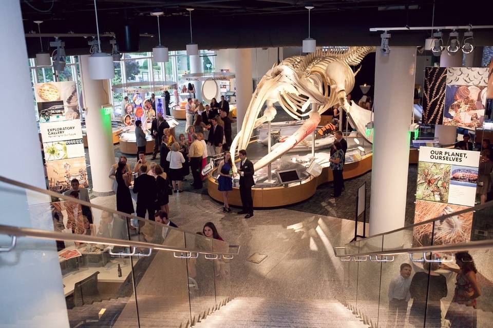 North Carolina Museum of Natural Sciences