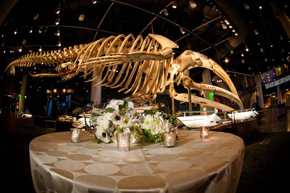 Whale reception table NRC