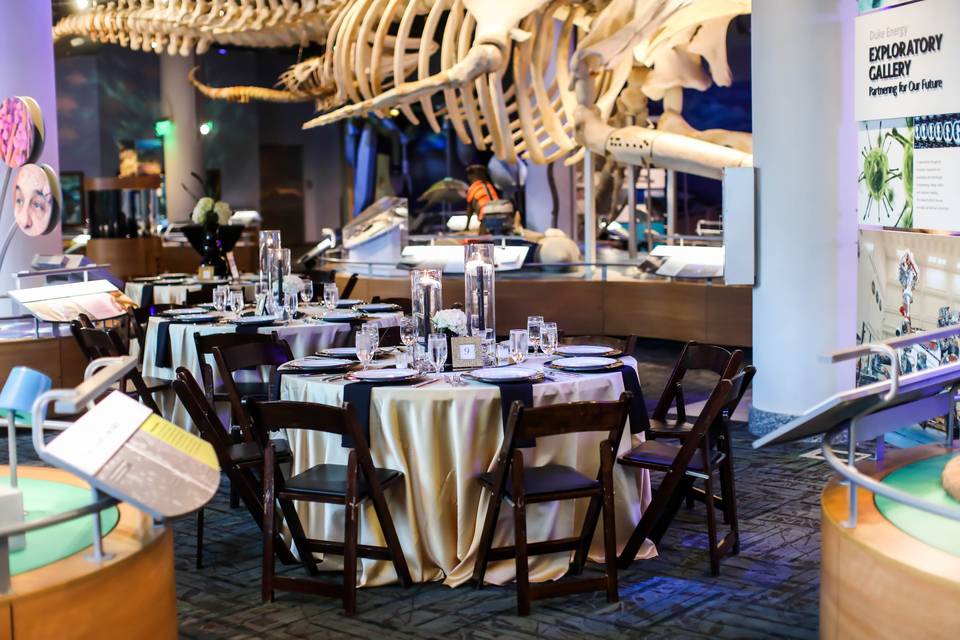 Stumpy the whale dinner