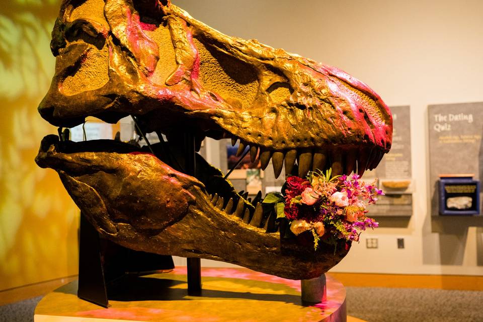 Bouquet dino