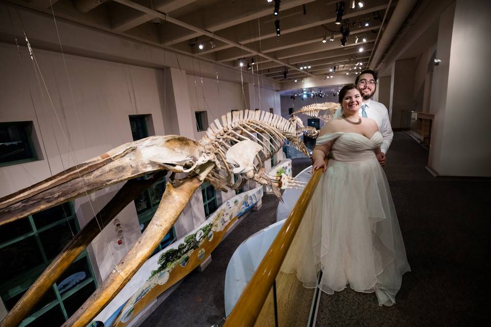 Whale skeleton couple