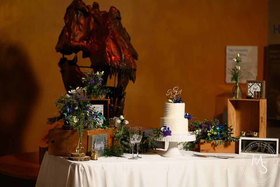 Dino cake setting