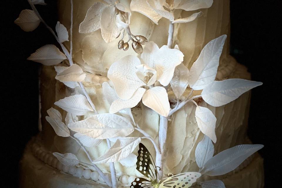 Sugarflower Orchids