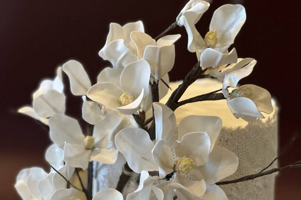 Magnolia Sugar Flowers & Lace