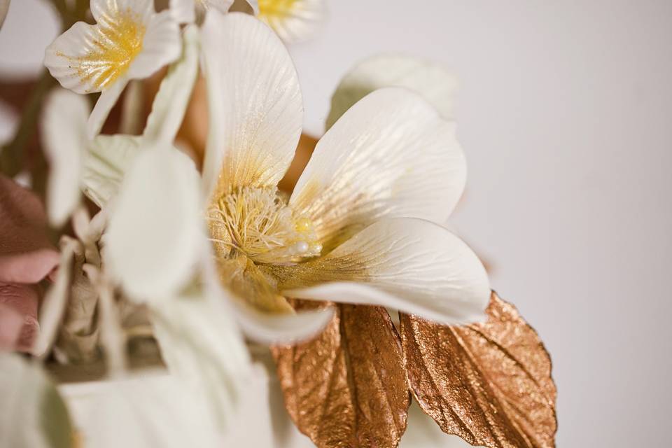Sugar Clematis Flower