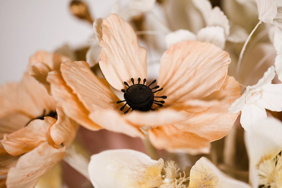 Sugar Anemone Flower