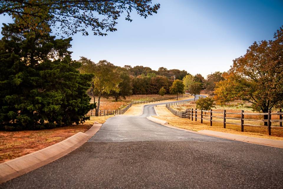 Road leading to the venue