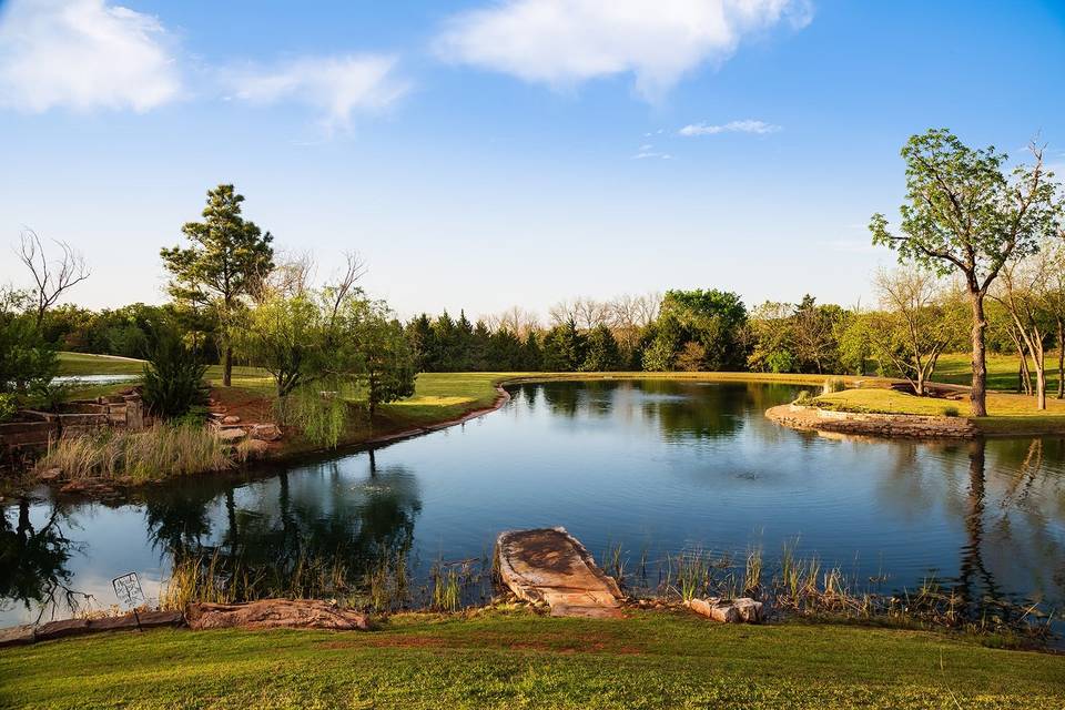 Pond from Patio