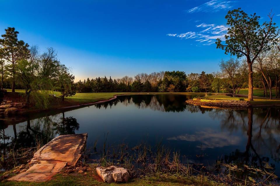 Pond views