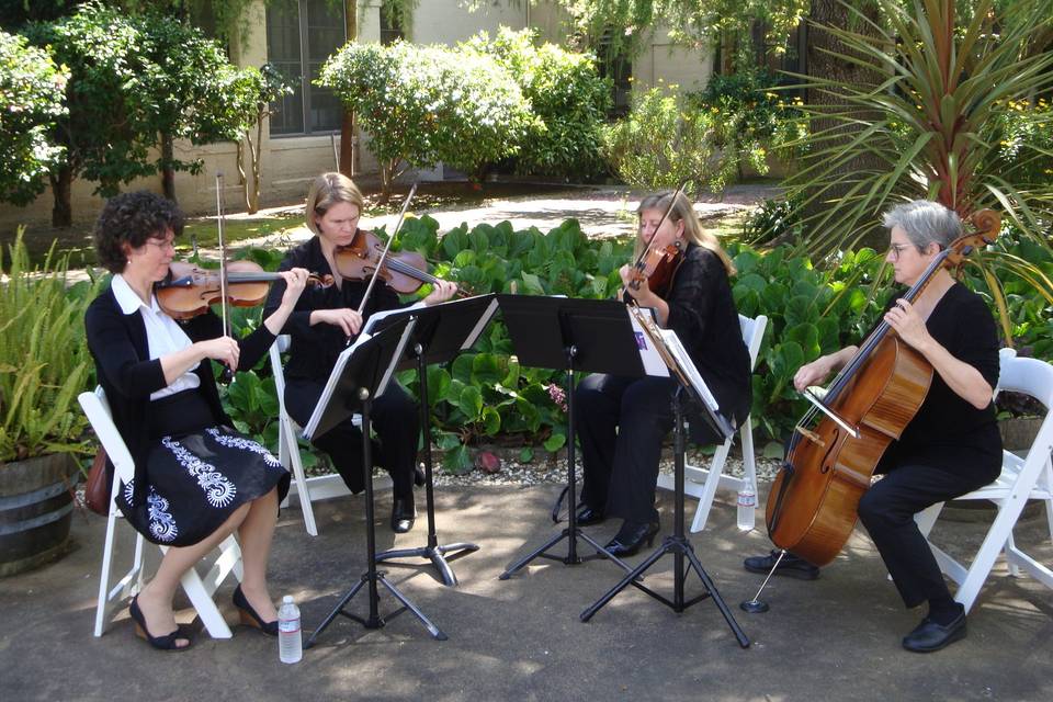 Eloquence String Quartet and Trio of Napa Valley
