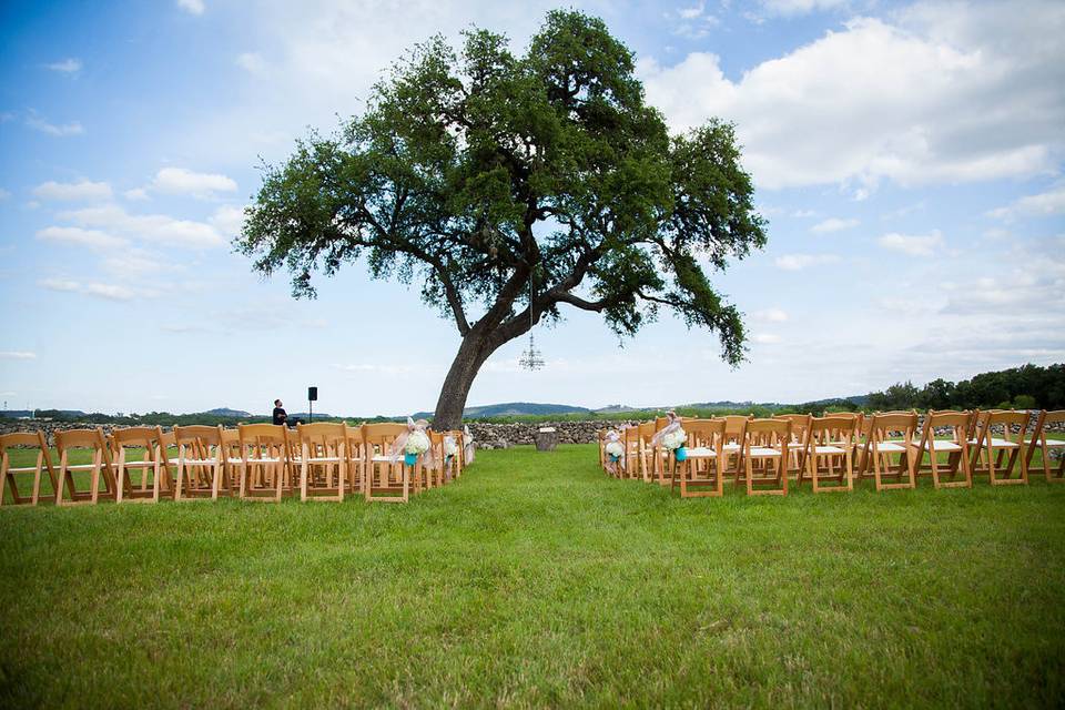 Wedding ceremony area