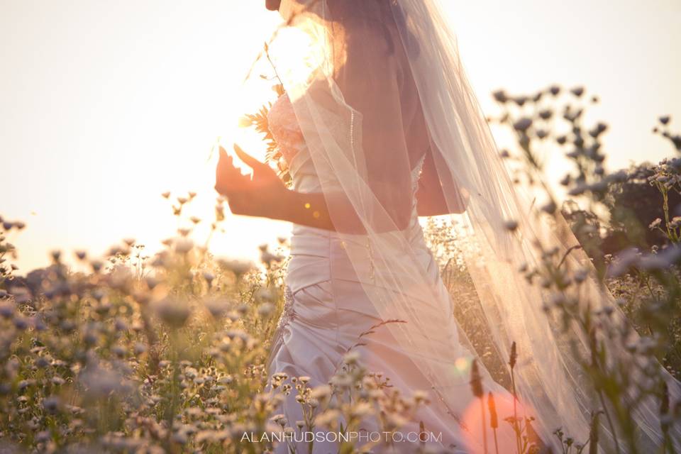 Alan Hudson Photography