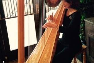 Harpist Brenda Street plays wedding ceremony music for a February wedding