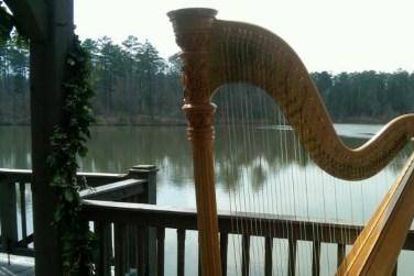 Atlanta Harpist Brenda Street