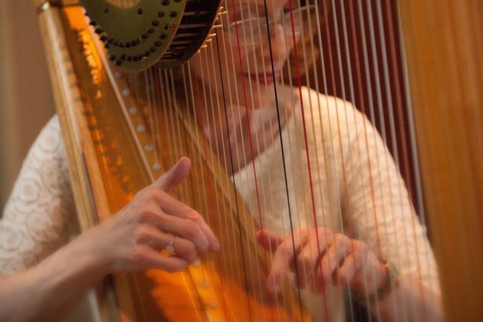 Harpist