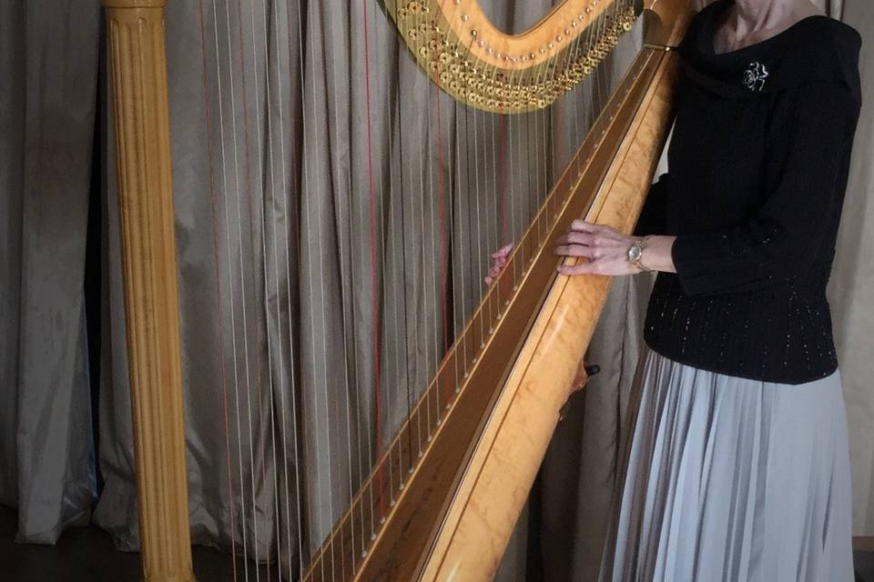 Atlanta Harpist Brenda Street