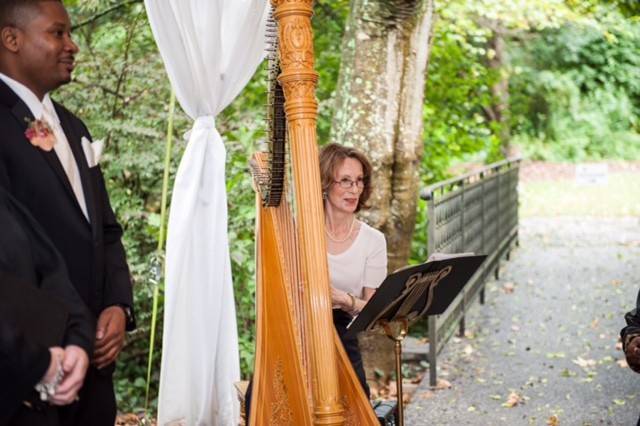 Harp music for a wedding at Cator