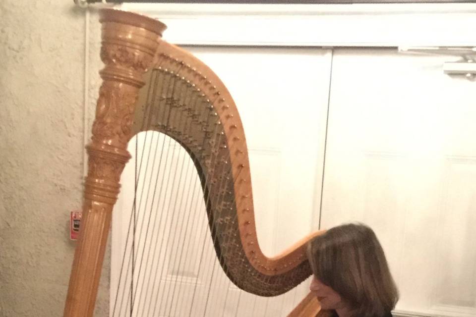 Atlanta Harpist Brenda Street