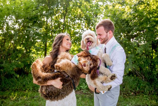 Bride and groom with dogs