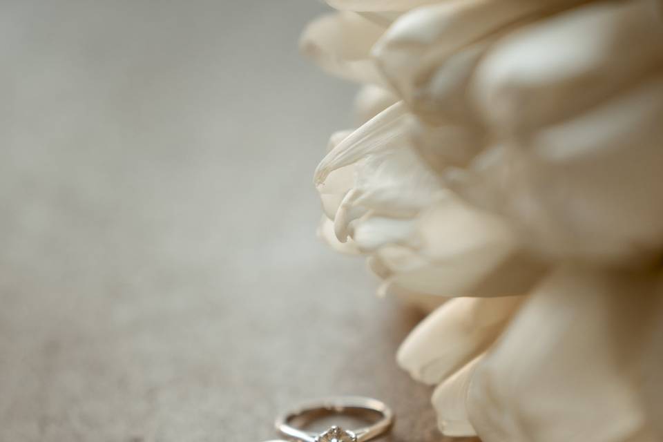 Mark Visuals Photography