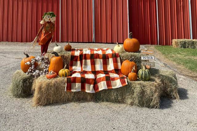 Pecan Creek Farm