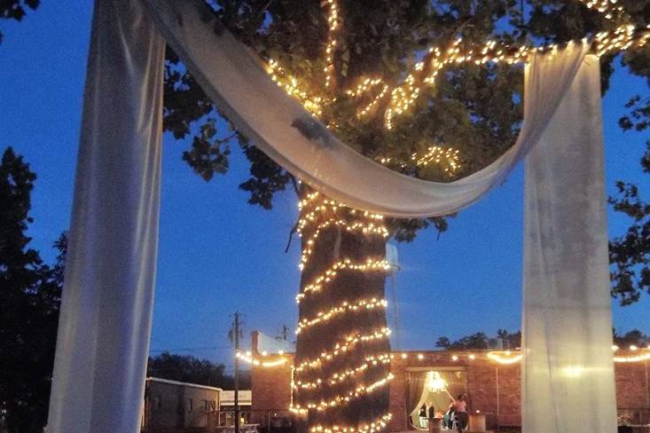 Sycamore Courtyard at night