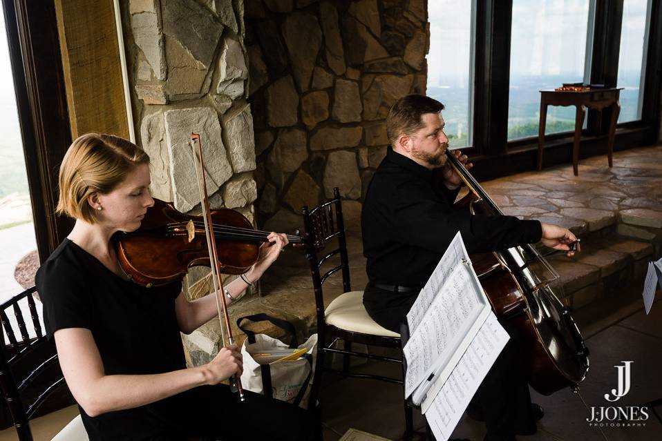 Violin and cello