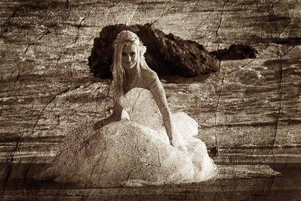 Steve Engelmann Photography