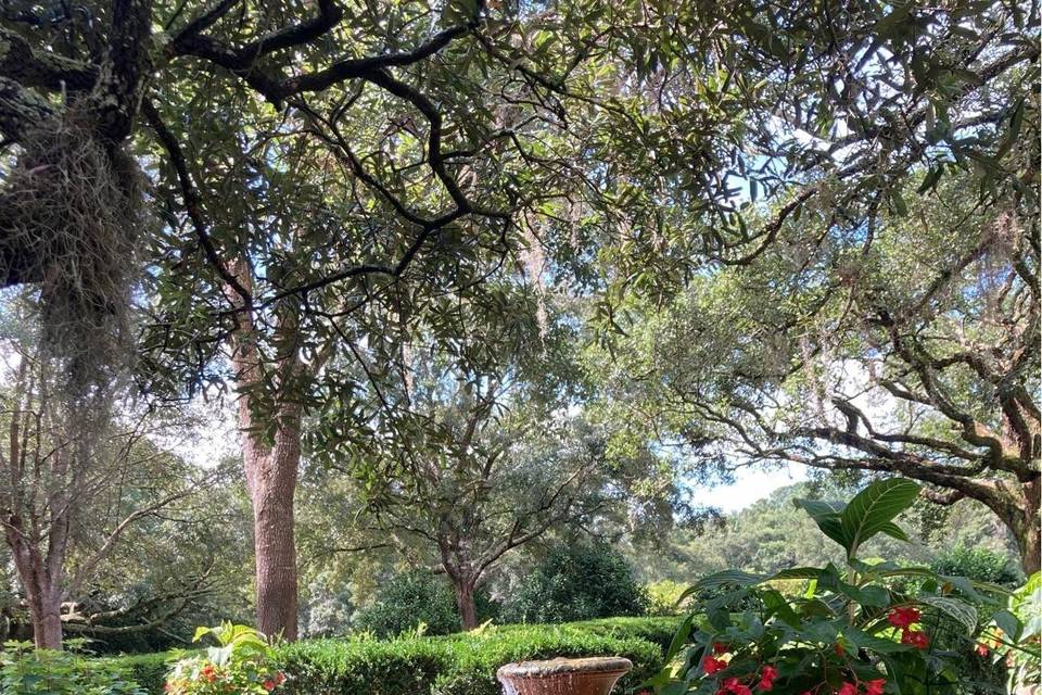 Bellingrath Gardens