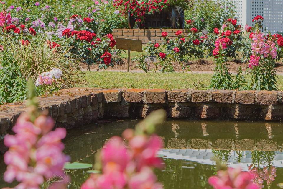 Rose Garden