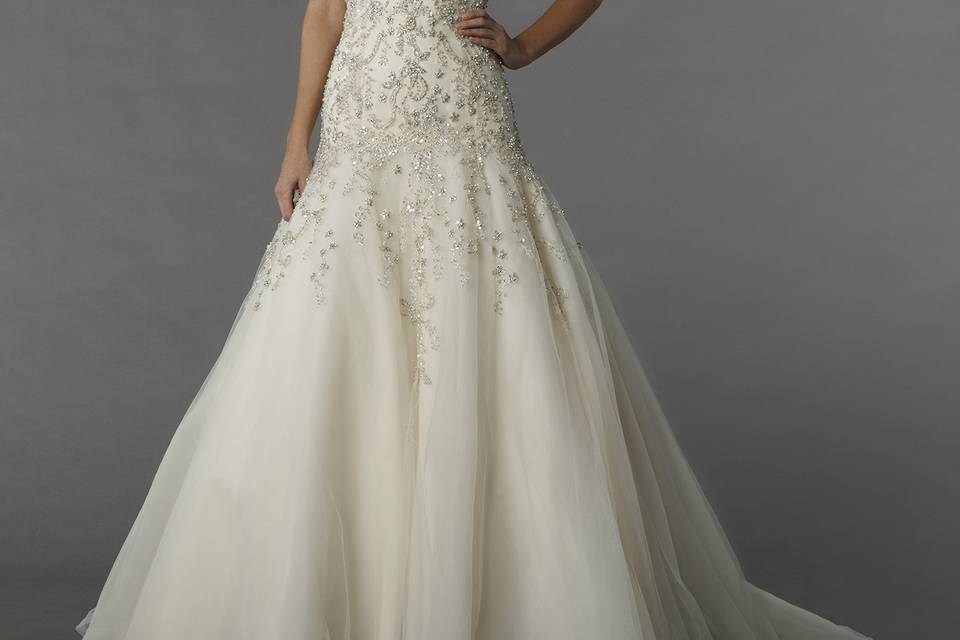 Danielle Caprese 113071	This a-line gown features a v-neck neckline with in chiffon and beaded embroidery. It has a chapel train and a tank top.
