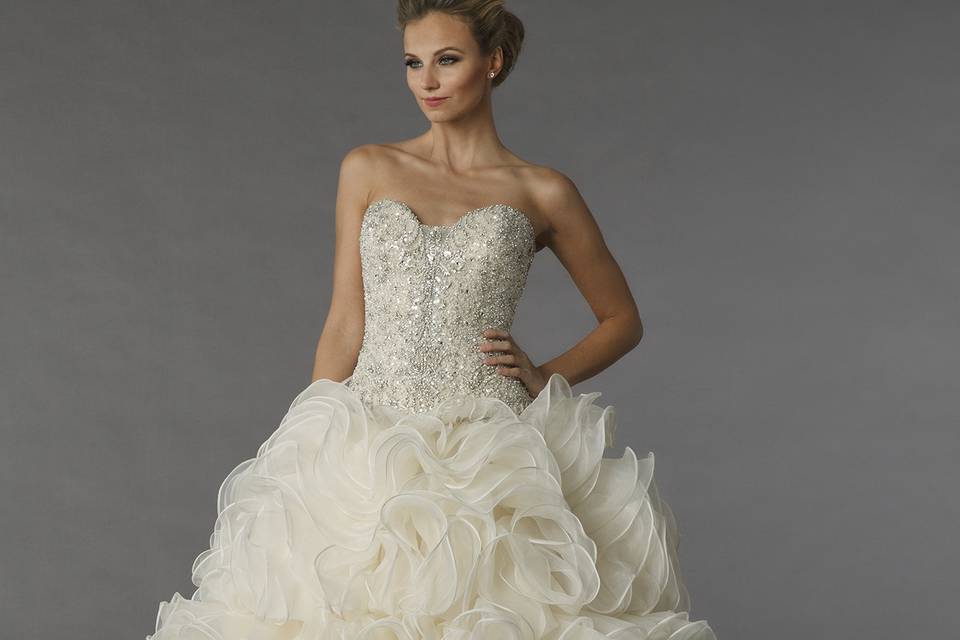 Danielle Caprese 113073	This ball gown features a sweetheart neckline with a natural waist in chiffon and beaded embroidery. It has a chapel train.