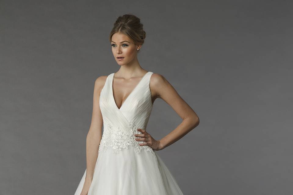 Danielle Caprese 113081		This ball gown features a v-neck neckline with a natural waist in chiffon. It has a chapel train and tank top.