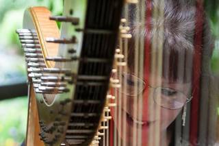 Laurie Galster-The Gold Harp