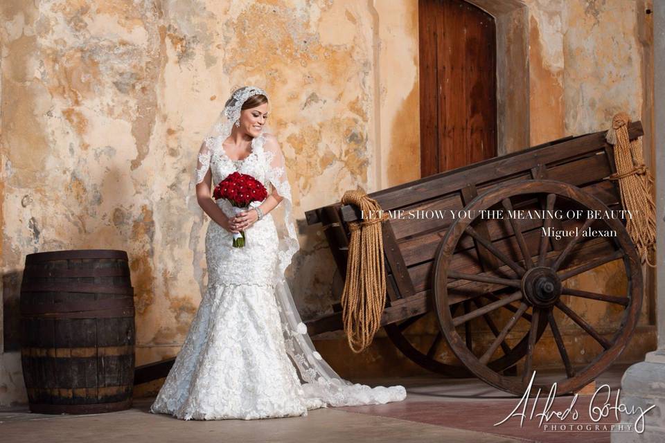 Bridal portrait