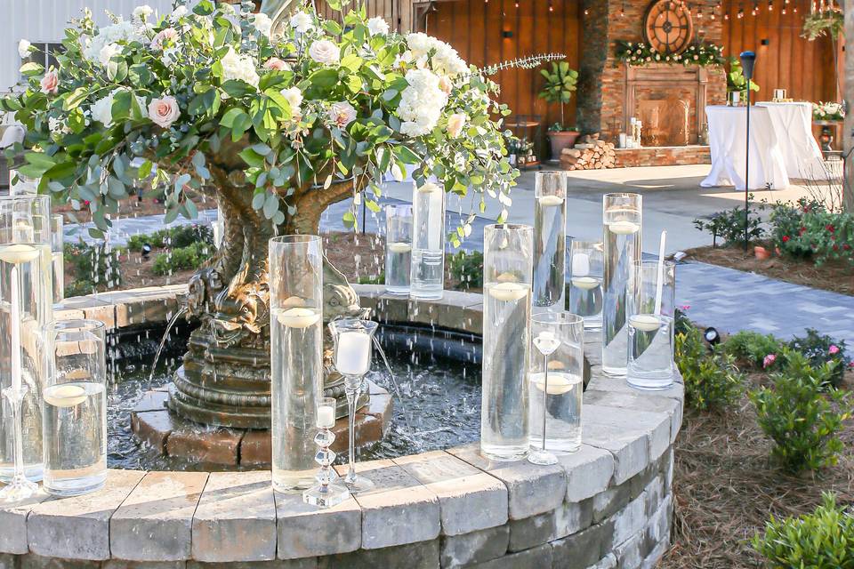 Gorgeous fountain display!