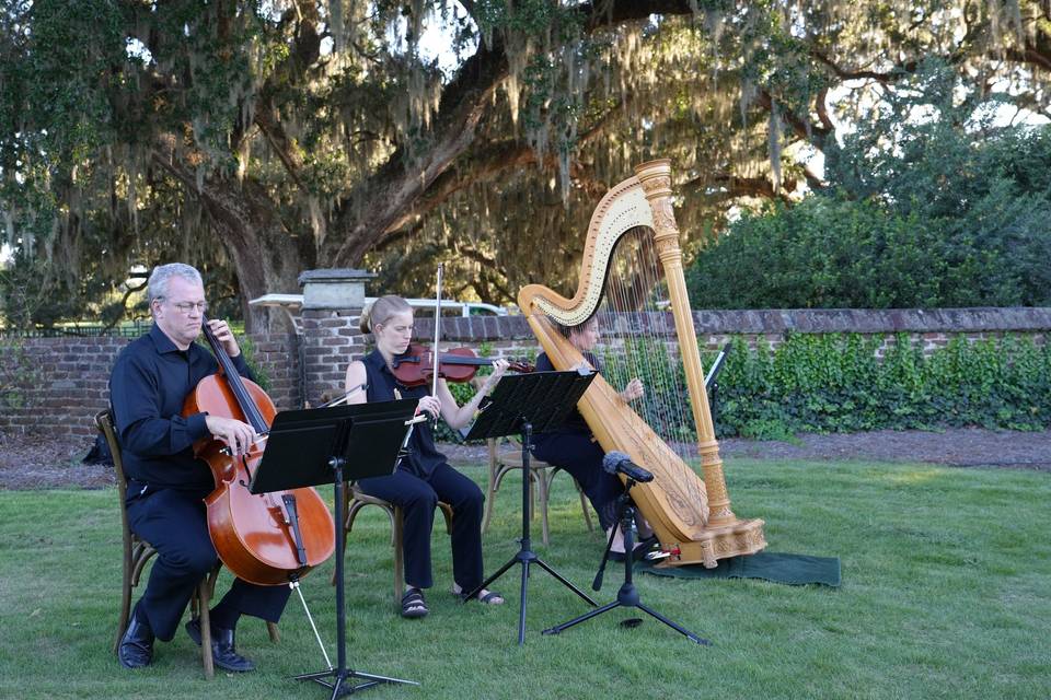Strings w/ Harp at Boone Hall