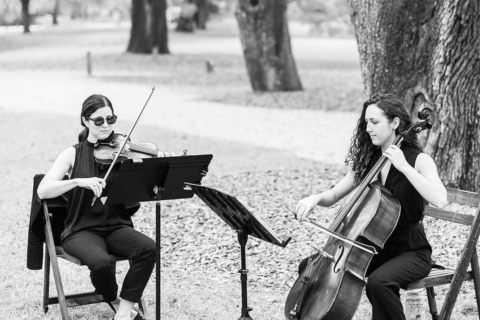 String duo