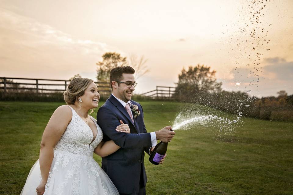 Metro Detroit Wedding Photo