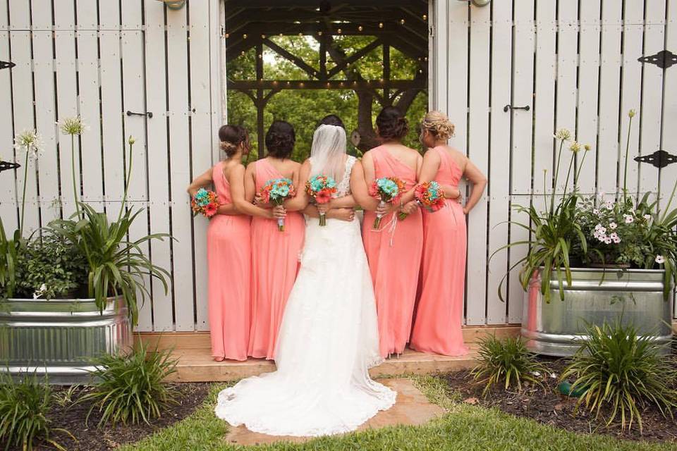 Bride and Bridesmaids