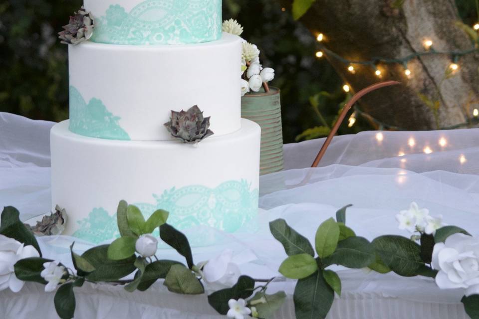 Succulents and teal cake