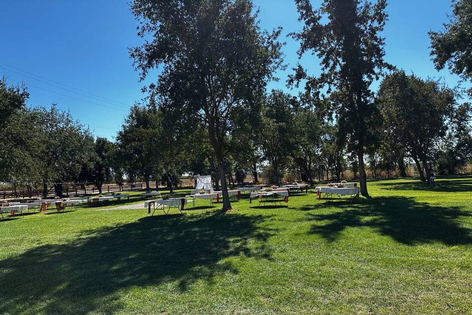 Orchard Setup