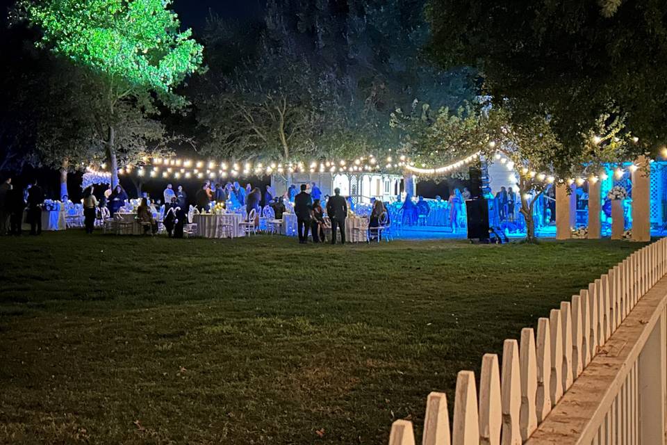 Evening Reception
