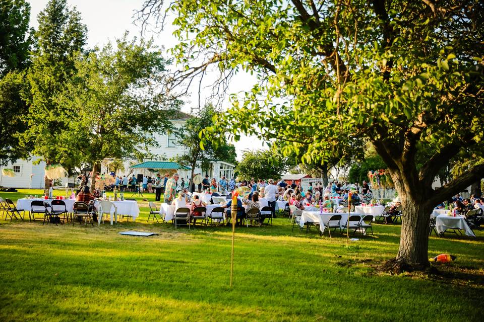 Reception in the orchard