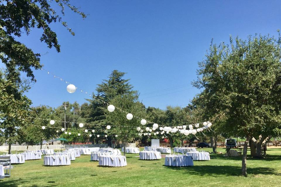 Reception on the lawn