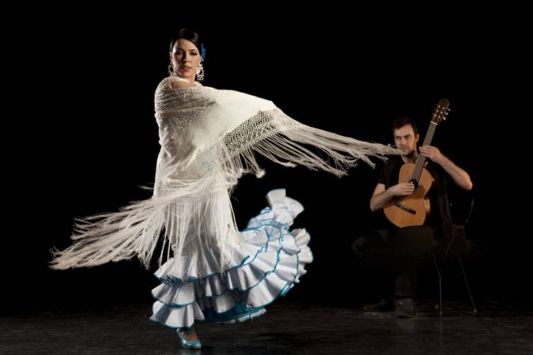 Flamenco Show