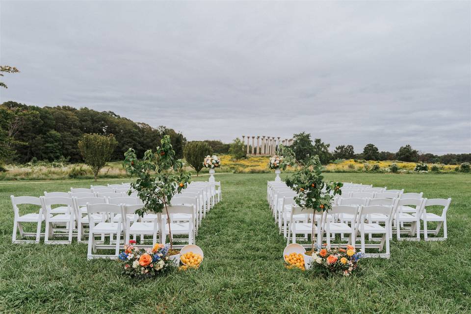 Ceremony in the Meadow