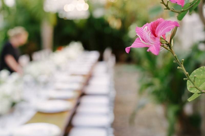 Old Town Manor Weddings