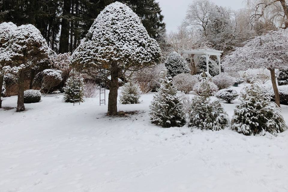 Winter wonderland garden