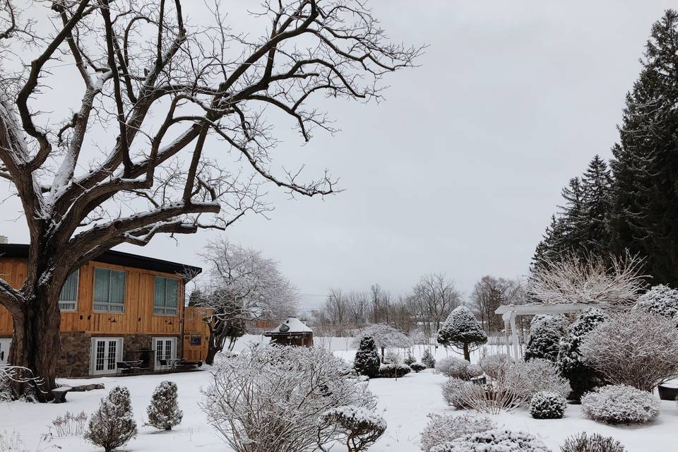 Snowy garden